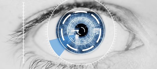 Iris Recognition Market: A Comprehensive Study of the Industry